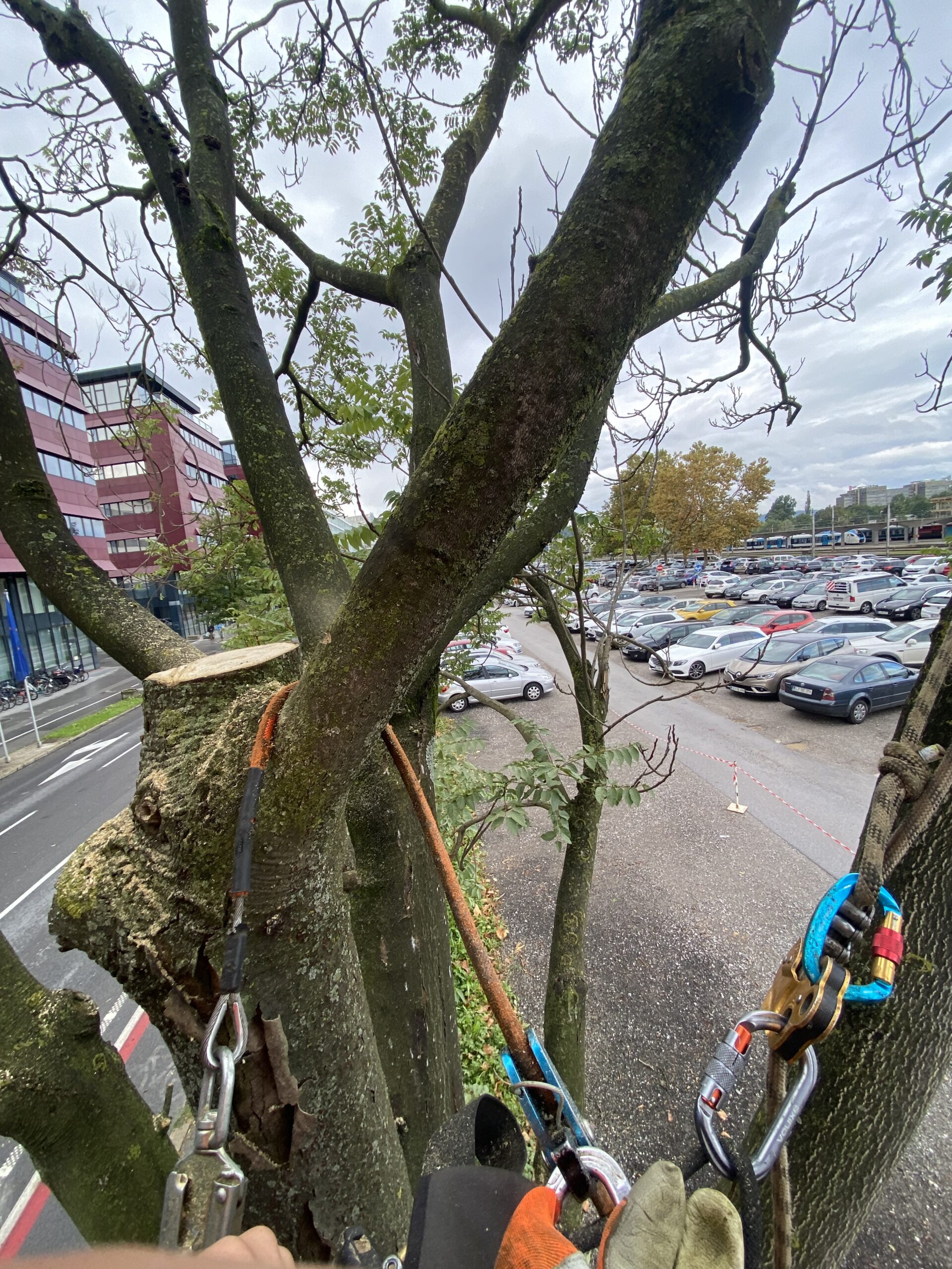 img 0243 scaled.jpeg